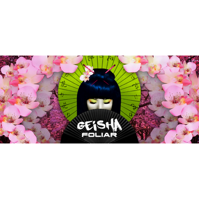 geishabannerdesktop1920