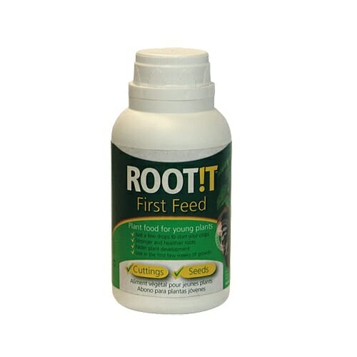 root it first feed